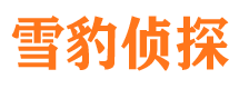 子长外遇出轨调查取证